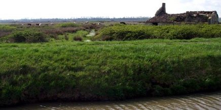 Les marais, des paysages cr&eacute;&eacute;s par l'Homme