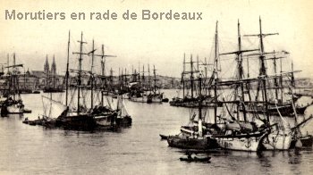 Morutiers en rade de Bordeaux