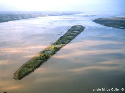 Le vasard de Beychevelle
