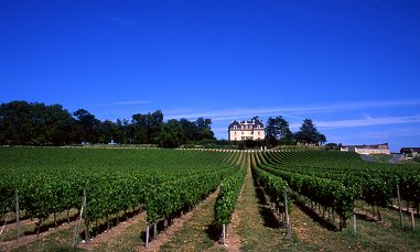 Vignoble et château Ségonzac (Saint-Genès-de-Blaye)