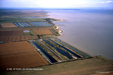 Les fermes aquacoles de Saint-Vivien-Médoc