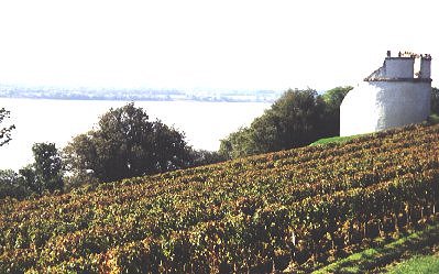 Rivière Gironde depuis les vignes de Tayac (33)